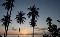 Burica Panama Real Estate